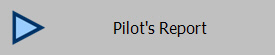 Pilot's Report